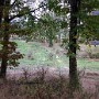 IMG_20181022_131235043.jpg