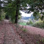 IMG_20181022_131416897
