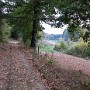 IMG_20181022_131416897.jpg