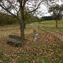 IMG_20181022_151650395.jpg