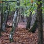 IMG_20181023_100911669.jpg