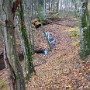 IMG_20181023_102143911.jpg