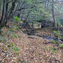 IMG_20181023_120354940.jpg