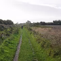 P1030126