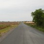 P1030011.jpg
