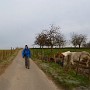 P1030310.JPG