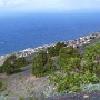 P1010838.JPG