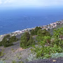 P1010838