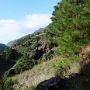 P1010845