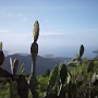 P1180553