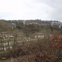 P1030426