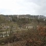 P1030426.jpg