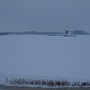 PC190387.JPG