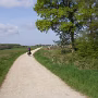 DSCF2054