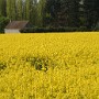 DSCF2056.JPG