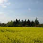 DSCN1538.JPG