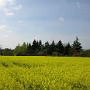 DSCN1538