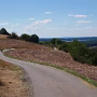 P1010341