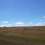 P1030187