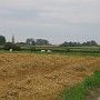 IMG_2016.JPG
