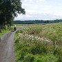 P1010821.JPG