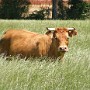 DSCF2266.JPG