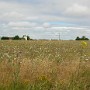 DSCN1572.JPG