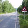 P1000894
