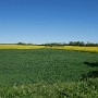 P1020165.JPG