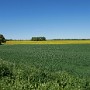P1020166.JPG