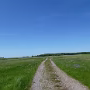 P1030354
