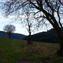 P3280937.JPG