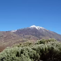 P1020593