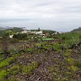P1020047