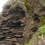 P1020054a.jpg