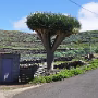 P1020071