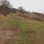 P1000697.JPG