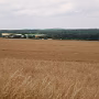 P1010596
