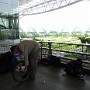P1010078.JPG