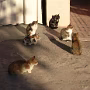 DSCN1073