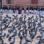 Nepal018.JPG