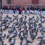 Nepal018