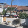IMG_1153.jpg