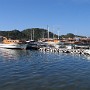 IMG_1155.jpg