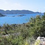 IMG_1159.jpg