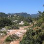 IMG_1160.jpg