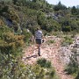 IMG_1161.jpg