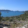 IMG_1162.jpg