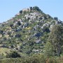 IMG_1166.jpg