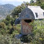 IMG_1167.jpg